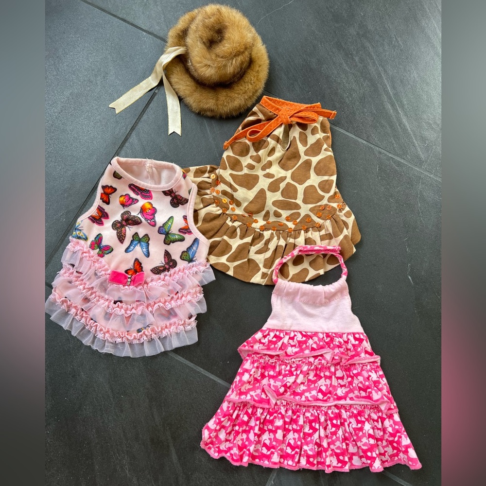 XS Dog Clothes Bundle